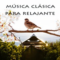 10 Variations in F Major, D. 156: Thema – Andante - Relajante para Dormir Academia & Франц Шуберт