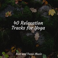Snowy Ventures - Yoga Workout Music & Música para Massagem Especialistas & Relaxing Nature Music