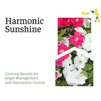 Healing Habits - Massage Music & Amazing Spa Music & Therapeutic Spa and Massage