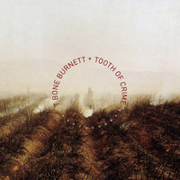 Swizzle Stick - T-Bone Burnett