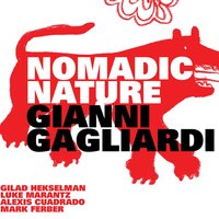 Timarelo - Gianni Gagliardi & Gilad Hekselman & Luke Marantz & Alexis Cuadrado & Mark Ferber