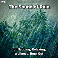 Sounds to Put You To Sleep - Rain Sounds to Relax To & Nature Sounds & Rain Sounds