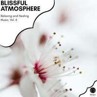 The Holy Water - Yogsutra Relaxation Co