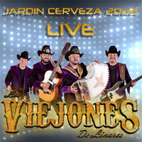 Una Página Más - Los Viejones De Linares