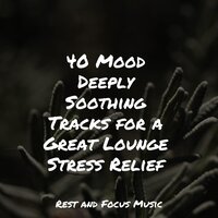 Relaxing Travels - Regengeräusche & Classical Study Music & Rising Higher Meditation