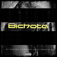 Bichota - Payaso X Ley & Dj Gomeko & Francis Pi