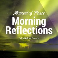 Nature Sounds for Relaxation - Natural Sounds Experts