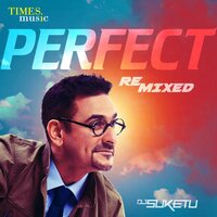 Perfect - DJ Suketu & Badshah & Gurinder Rai