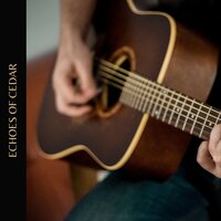 City Lights Shimmer - Jazz Guitar Music Zone