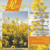 Dierb're Heiland, mijn Verlosser (JdH 43) - Henk van der Maten & Chr. Gem. Koren “De Lofstem” & Chr. Gem. Koor “Vox Humana”