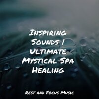 Consciousness - Spa & Spa & Regengeräusche & Relaxamento