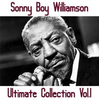 Do It If You Wanta - Sonny Boy Williamson