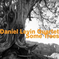 Sitting on His Hands - Daniel Levin Quartet & Nate Wooley & Matt Moran & Daniel Levin & Joe Morris