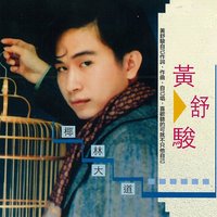 她以為她很美麗 - 黃舒駿