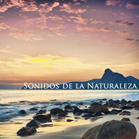 Sea Cave (Nanas para Bebes) - Relajación Natural Maestro