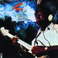 'Til My Back Ain't Got No Bone - Albert King
