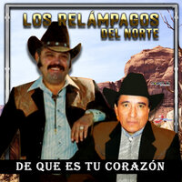 Ahí Perdimos Los Dos - Los Relampagos del Norte