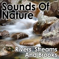 Owl and Other Bird Calls over Slow Stream - Pro Sound Effects Library
