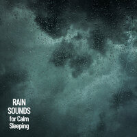 Soothing Holiday Rumble - The Rain Library & Rain Sounds ACE & Rain Sounds For Sleep