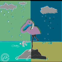 Rainfall - DP