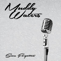 Please Have Mercy - Muddy Waters