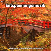 Entspannungsmusik pt. 17 - Entspannungsmusik Nils Stieldorff & Schlafmusik & Entspannungsmusik
