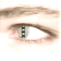 Cançó XXX - PETIT IBÈRIC