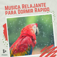 Gota de Lluvia Fiesta de Pijamas - #Calmante & Musica Relajante Para Dormir