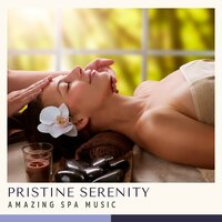 Gentle Valley Silence - Amazing Spa Music