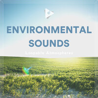 Nearby Ocean - Loopable Atmospheres & Yoga