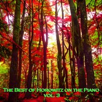 Piano Concerto No. 2 in B-Flat Major, Op. 83: III. Andante - NBC Symphony Orchestra & Arturo Toscanini & Владимир Горовиц & Иоганнес Брамс