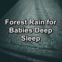 Soothing Rain on a Tin Roof Noise for Trouble Sleeping - Rain Sounds & Rain for Deep Sleep & Rain