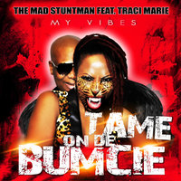 My Vibes (Tame on de Bumcie) - The Mad Stuntman & The Mad Stuntman feat. Traci Marie