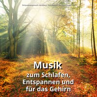 Musik zur Tiefenentspannung - Entspannungsmusik & Schlafmusik & Entspannungsmusik Abteilung