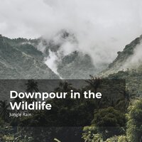 Rain in Tangled Jungle - Nature and Rain & Deep Rain Sampling & Jungle Rain