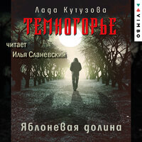 Глава сорок третья. Ледяная ловушка - Илья Сланевский