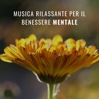 Massaggio & benessere - Centro Benessere Spa