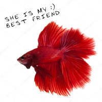 She Is My Best Friend :) - ANDRE SALMON