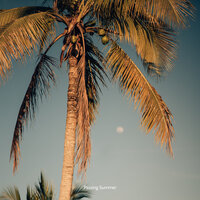 Passing Summer - Infraction Music