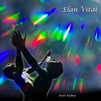 Elan Vital 2019 - Ariel Kalma