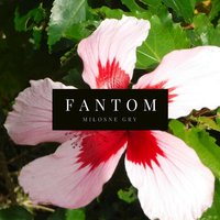 Szczęśliwy Kraj - Fantom