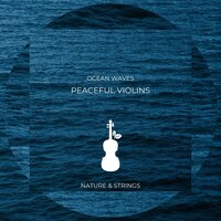 Velvet - Nature & Strings