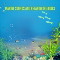 Stress-Free Waters - Symphony Orchestra Anti-Stress Sound