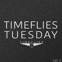 Burnin' It Down - Timeflies