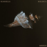 Seashells - Solanca & 88Birds
