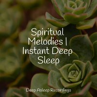 Autumn Mist - Ruído branco & Mindfulness Meditation Universe & Meditation Relaxation Club