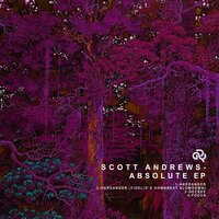 Focus - Scott Andrews