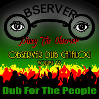 Hot & Cold Dub - Niney The Observer