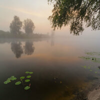 Настоящая песня - Тальник