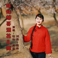 妹妹想哥泪花儿掉 - 钰柃 & 灵茹